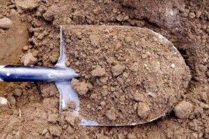 Компанія напідпитку поховали живцем свого товариша: суд виніс вирок молодикам