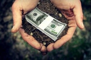 У громади на Волині забрали землю вартістю понад 18 мільйонів гривень