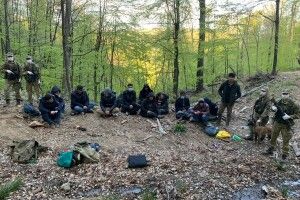 Зі стрільбою затримали дюжину нелегалів-афганців (Відео)