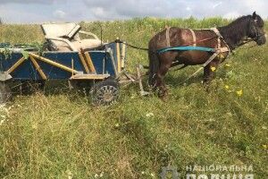 Аби вивезти крадене злодій поцупив ще й коня (фото)