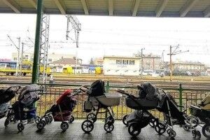 До щему: волиняни показали, як польські мами підготувалися до прийому українських