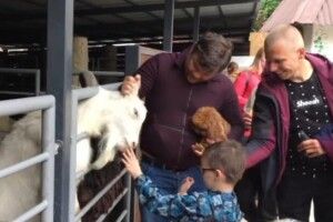 Ексглаву ОП Богдана хочуть притягнути до кримінальної відповідальності за побиття цапа (Відео)