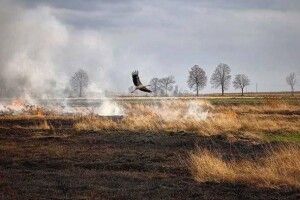 На Волині ледь не зайнялося село