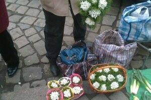 Волинянок закликали бити чоловікам пику букетиками підсніжників