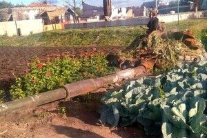 «І тільки в України та в українців єдина мотивація – вижити!»