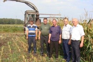 Чи буде чим годувати худобу на Ратнівщині?