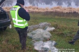 На Рівненщині поліцмени відібрали у браконьєрів і випустили в Хрінницьке водосховище 15 кіло риби 