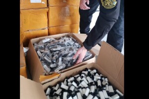 Волинські митники виявили в кабіні вантажівки 140 кг незадекларованих товарів 