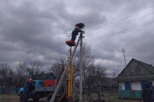 Завдяки енергетикам у Маневицькому районі побільшало лелечих гнізд (фото)