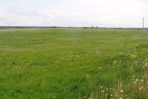 На Волині в підприємця забрали 10 гектарів землі