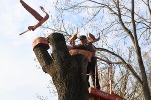 У місті на Волині на зрізані дерева почепили скульптури (Фото) 