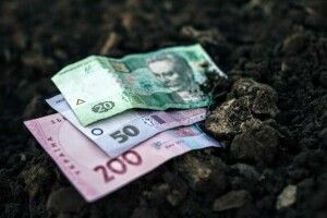Повідомили середню ціну 1 га землі 