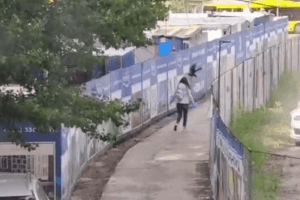Агресивна ворона напала на дівчину: момент потрапив на відео