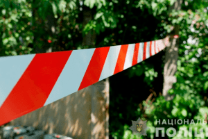 Двоє рідних братів сокирою вбили подружжя на дачі
