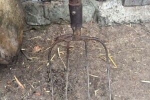 Життя як страшне кіно: на Березнівщині брат з вилами пішов на брата