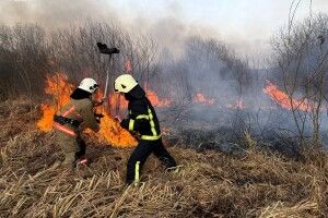 На Волині триває боротьба з пожежами через спалювання сухої трави