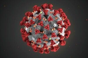 Які наслідки принесе коронавірус?