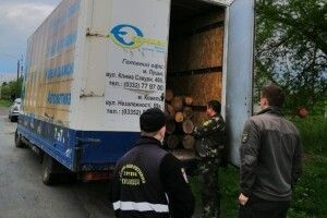 Лісівники спільно з поліцією затримали автомобіль з деревиною невідомого походження