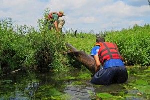 На Ківерцівщині розчистили майбутній туристичний маршрут