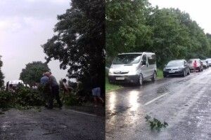 Через негоду на Волині дерева перегородили дорогу