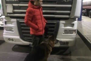 Волинянин під виглядом чаю та пігулок перевозив наркотики