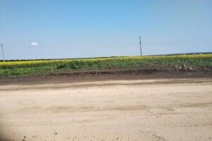 Під час ремонту дороги будівельники знищили скіфський курган