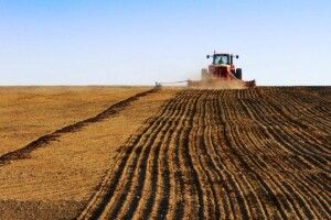 Через підтоплення не всі волинські фермери можуть розпочати весняну посівну 