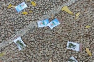 Наркоторговці додумалися розкидати пакетики з канабісом за допомогою безпілотників