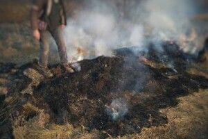 Оштрафували чоловіка, через якого під Луцьком вигоріло 10 соток сухої трави