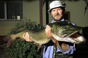 Гігантська щука мало не відкусила палець волинському священику