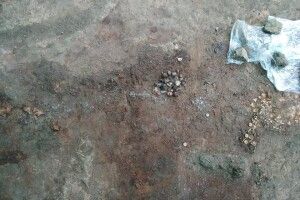 На Полтавщині знайшли золото скіфів