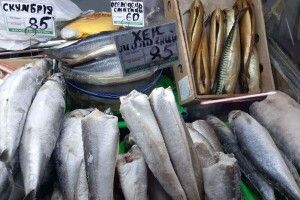 У Луцьку на базарі жінка незаконно продавала рибу