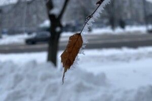Якою завтра буде погода на Волині
