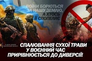 В області горіло 11 гектарів сухостою: рятувальники нагадали волинянам про кримінальну відповідальність