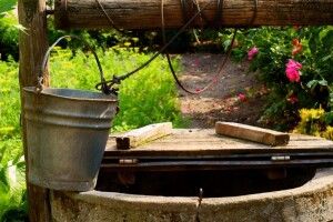 Що зробити, аби вода не втікала з волинських колодязів і ставків