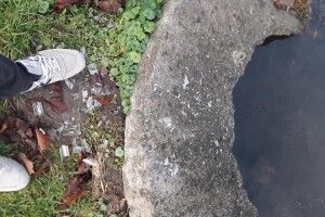 Диверсія у Луцьку: в Центральному парку культури і відпочинку імені Лесі Українки невідомі затопили ртутні лампи (фото)