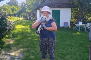 Другий шанс для лелеки: волинянка виходила пораненого птаха
