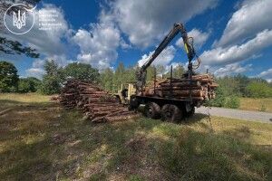 На Волині спіймали вантажівку з «лівим» лісом
