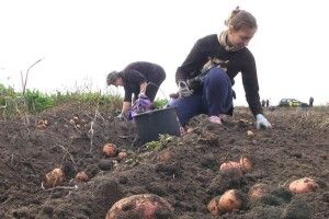 Якою буде погода на Волині в ці дні