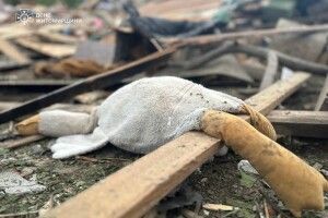 Ракети путіна сьогодні вбили трьох дітей (Фото)