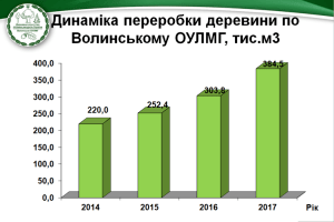 Волинські лісівники збільшили об’єми переробленої деревини