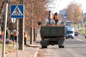 Як збирають та куди дівають опале листя комунальники у Луцьку