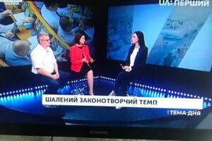 Ірина Констанкевич прокоментувала законодавчу гарячку «Слуг народу»