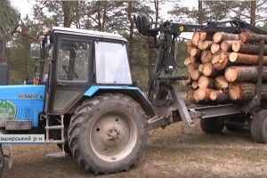 Люди просять не нищити зелені насадження