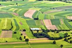 На Волині сільрада збагатилася на 11 мільйонів гривень