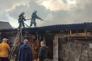 На Волині від удару блискавки загорівся хлів: загинули свині
