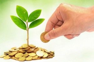 Волинські підприємці – спрощенці додали громадам понад 388 мільйонів гривень єдиного податку