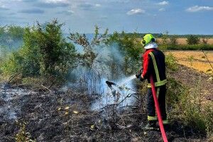 На Волині за добу вирували три пожежі сухостою