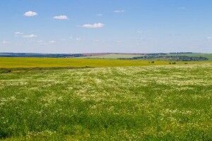 Громаді на Волині повернули земельну ділянку