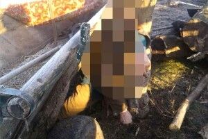 У Малих Садах на Рівненщині пенсіонера затисло між возом та деревом – чоловік помер (фото)